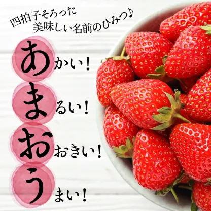 一番人気ギフト★数量限定★あまおう苺 約1080g 福岡県産（プレミアムフルーツ A1609【あまおう】）