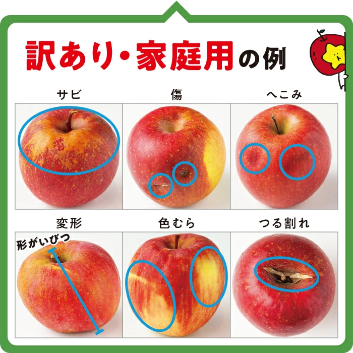 長野県産ふじりんご 5kg/10kg。果実品質抜群。交換保証付き。不良品、規格外品、破損品はお受けできません。光センサー付き。信州りんご。りんごをありがとうございます。長野県飯綱町。