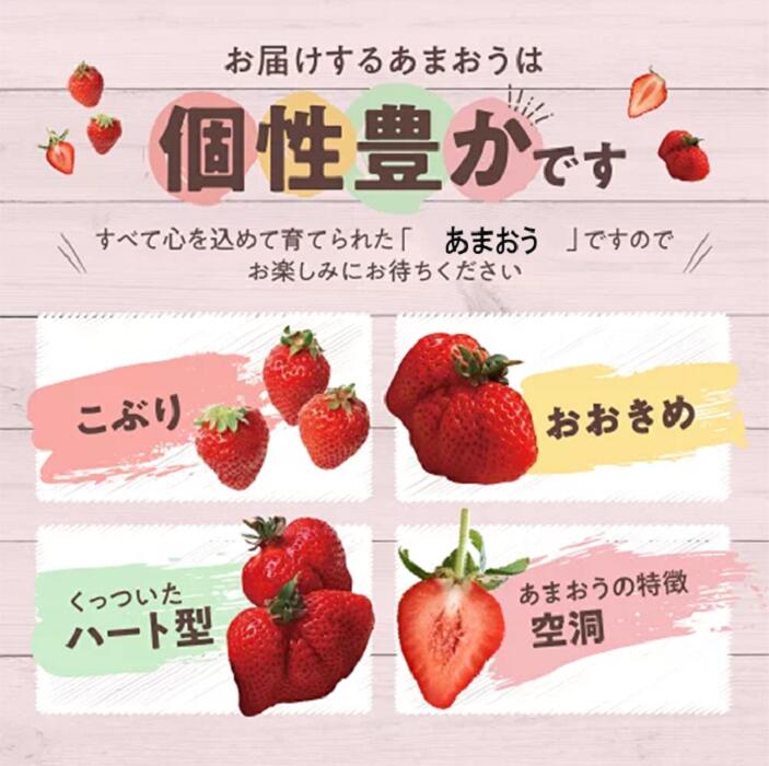 一番人気ギフト★数量限定★あまおう苺 約1080g 福岡県産（プレミアムフルーツ A1609【あまおう】）