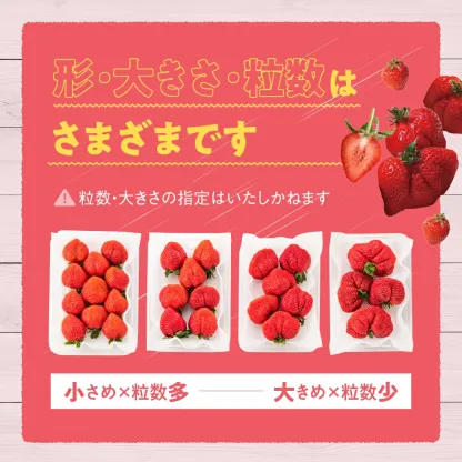 一番人気ギフト★数量限定★あまおう苺 約1080g 福岡県産（プレミアムフルーツ A1609【あまおう】）