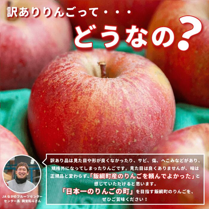 長野県産ふじりんご 5kg/10kg。果実品質抜群。交換保証付き。不良品、規格外品、破損品はお受けできません。光センサー付き。信州りんご。りんごをありがとうございます。長野県飯綱町。