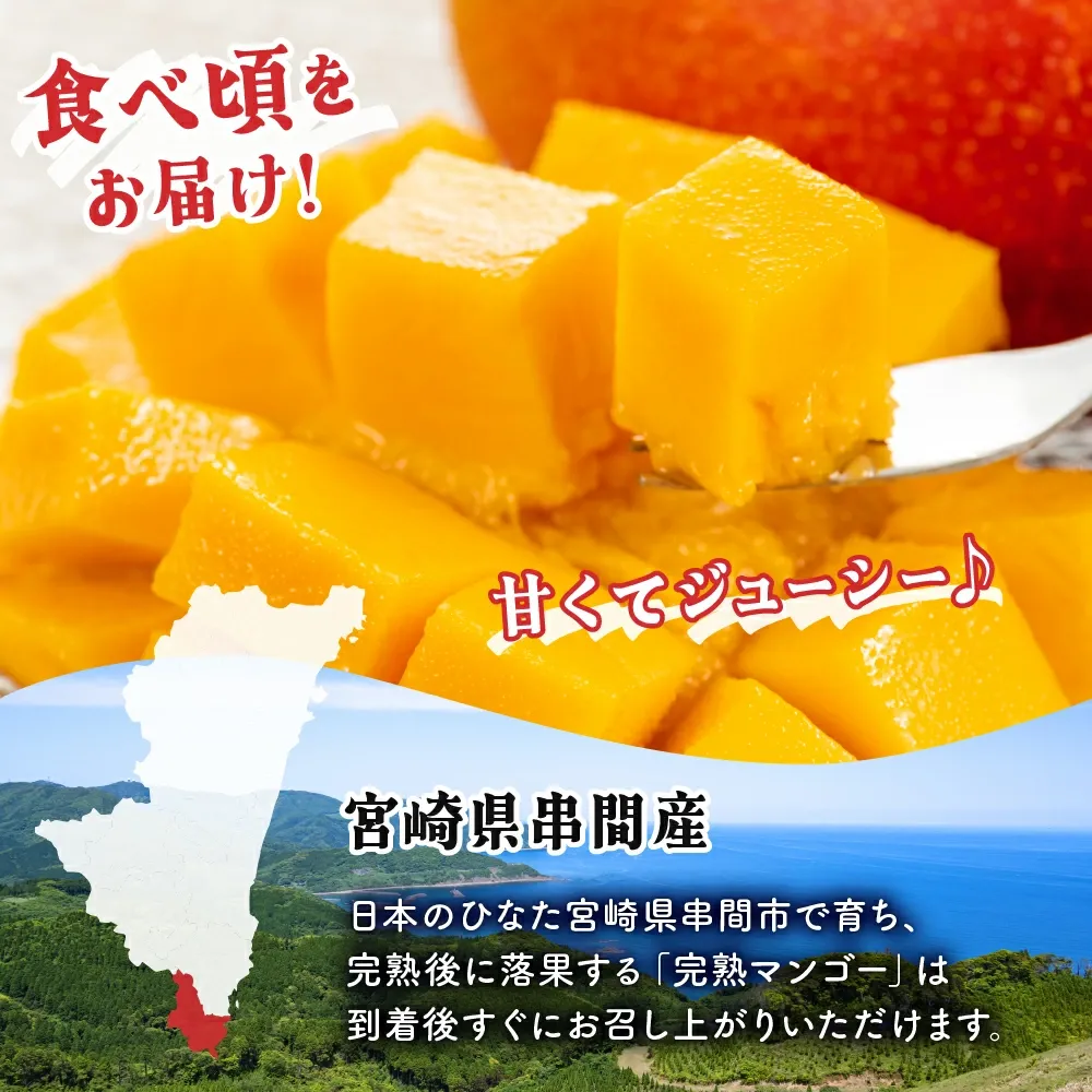 【数量限定】宮崎県産 完熟マンゴー 2リットル×2個（350g-449g以上×2個）宮崎県産完熟マンゴー 旬の果物 マンゴー 送料無料 [KU019]