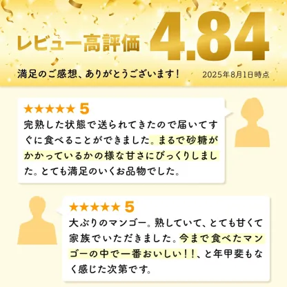 【数量限定】宮崎県産 完熟マンゴー 2リットル×2個（350g-449g以上×2個）宮崎県産完熟マンゴー 旬の果物 マンゴー 送料無料 [KU019]