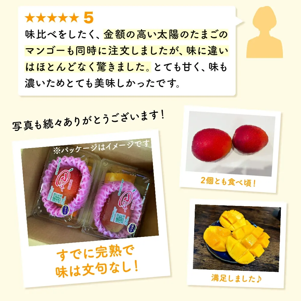 【数量限定】宮崎県産 完熟マンゴー 2リットル×2個（350g-449g以上×2個）宮崎県産完熟マンゴー 旬の果物 マンゴー 送料無料 [KU019]