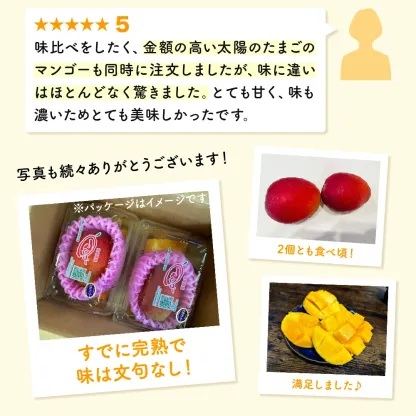 【数量限定】宮崎県産 完熟マンゴー 2リットル×2個（350g-449g以上×2個）宮崎県産完熟マンゴー 旬の果物 マンゴー 送料無料 [KU019]