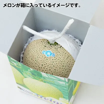 メロン2個!セール!お買い物マラソン特価！グルメ大賞メロン部門受賞の実力! 【静岡産 高級 マスクメロン】 大玉1玉1.3kg以上! マスクメロン 果物 メロン フルーツ ギフト 贈答品 国産 誕生日プレゼント 誕生日 お見舞 御礼 お祝 ギフト 内祝 お供 贈答