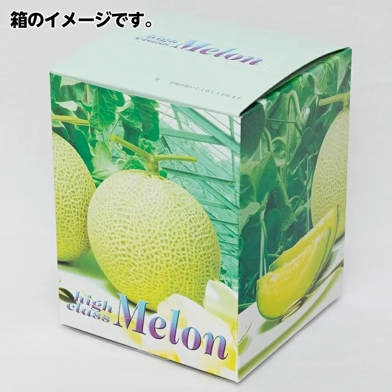 メロン2個!セール!お買い物マラソン特価！グルメ大賞メロン部門受賞の実力! 【静岡産 高級 マスクメロン】 大玉1玉1.3kg以上! マスクメロン 果物 メロン フルーツ ギフト 贈答品 国産 誕生日プレゼント 誕生日 お見舞 御礼 お祝 ギフト 内祝 お供 贈答