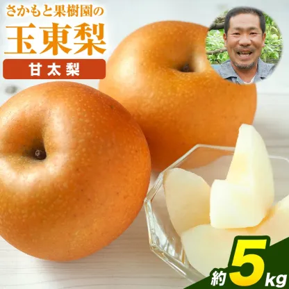 坂本果樹園の翡翠梨は旬を迎えており、約3kg（3～10個）または約5kg（6～18個）のパックで販売されています。