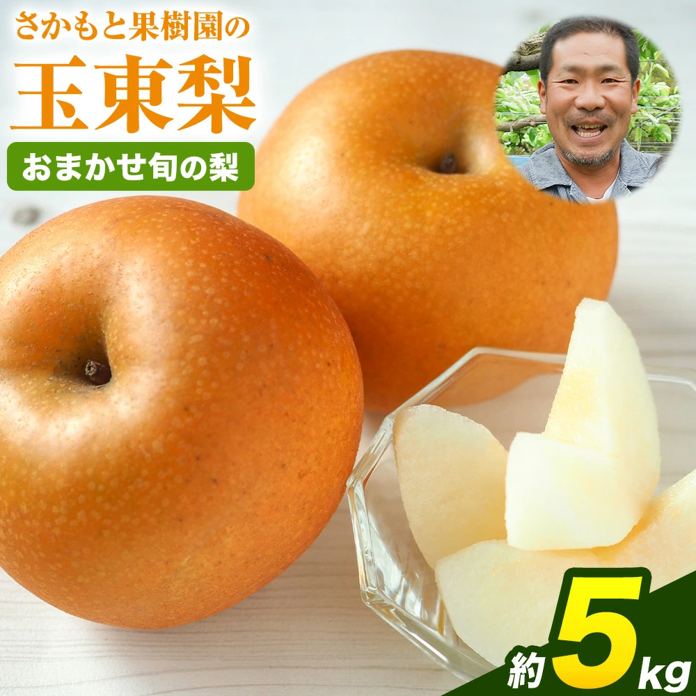 坂本果樹園の翡翠梨は旬を迎えており、約3kg（3～10個）または約5kg（6～18個）のパックで販売されています。