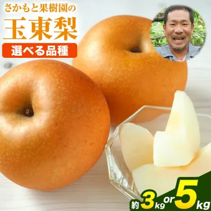 坂本果樹園の翡翠梨は旬を迎えており、約3kg（3～10個）または約5kg（6～18個）のパックで販売されています。