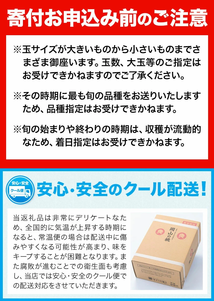 フルーツ総合ランキング2位獲得！圧倒的な高評価！岡山産の桃。約750g、1.3kg、2.6kg入りをご用意。夏秋フルーツのお届け。黄桃（750g）、白桃（750g）。楽天限定。