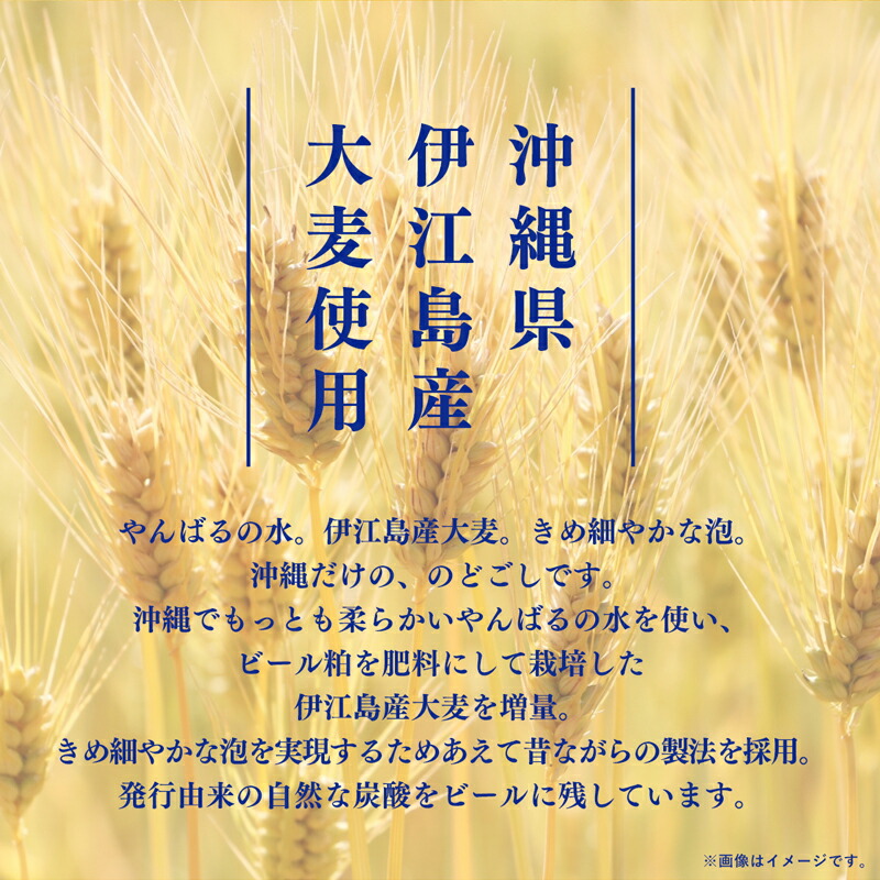 【ふるさと納税】《最短翌日発送》オリオン ザ・ドラフト＜350ml×24缶＞- オリオンビール 1ケース 350ml 24本 おすすめ 沖縄県 八重瀬町【価格改定YI】