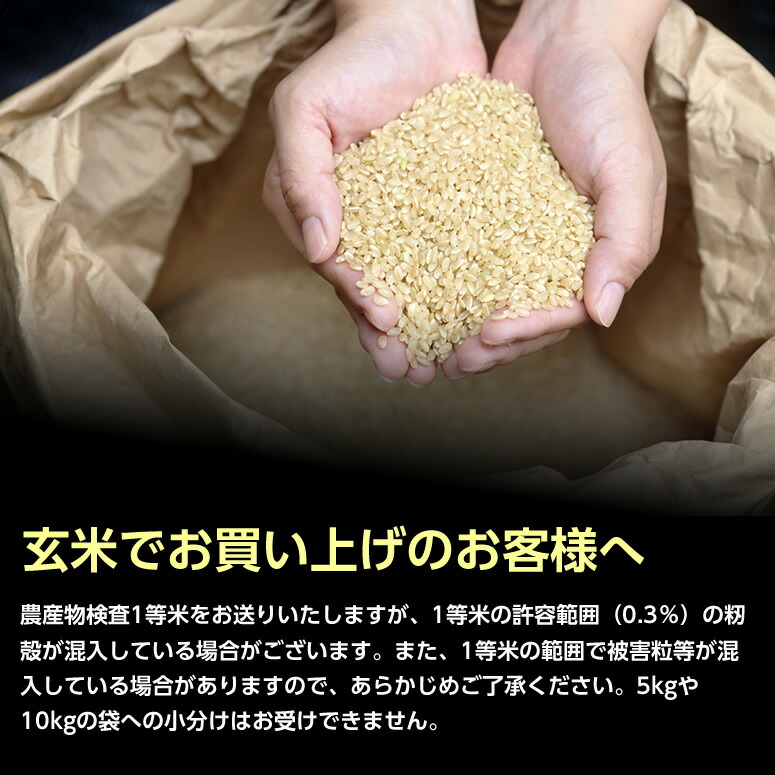 玄米をお買い上げのかたへ
