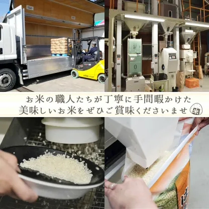 山形県産はえぬき10kg（無洗米・白米・玄米）精米方法選択可 送料無料