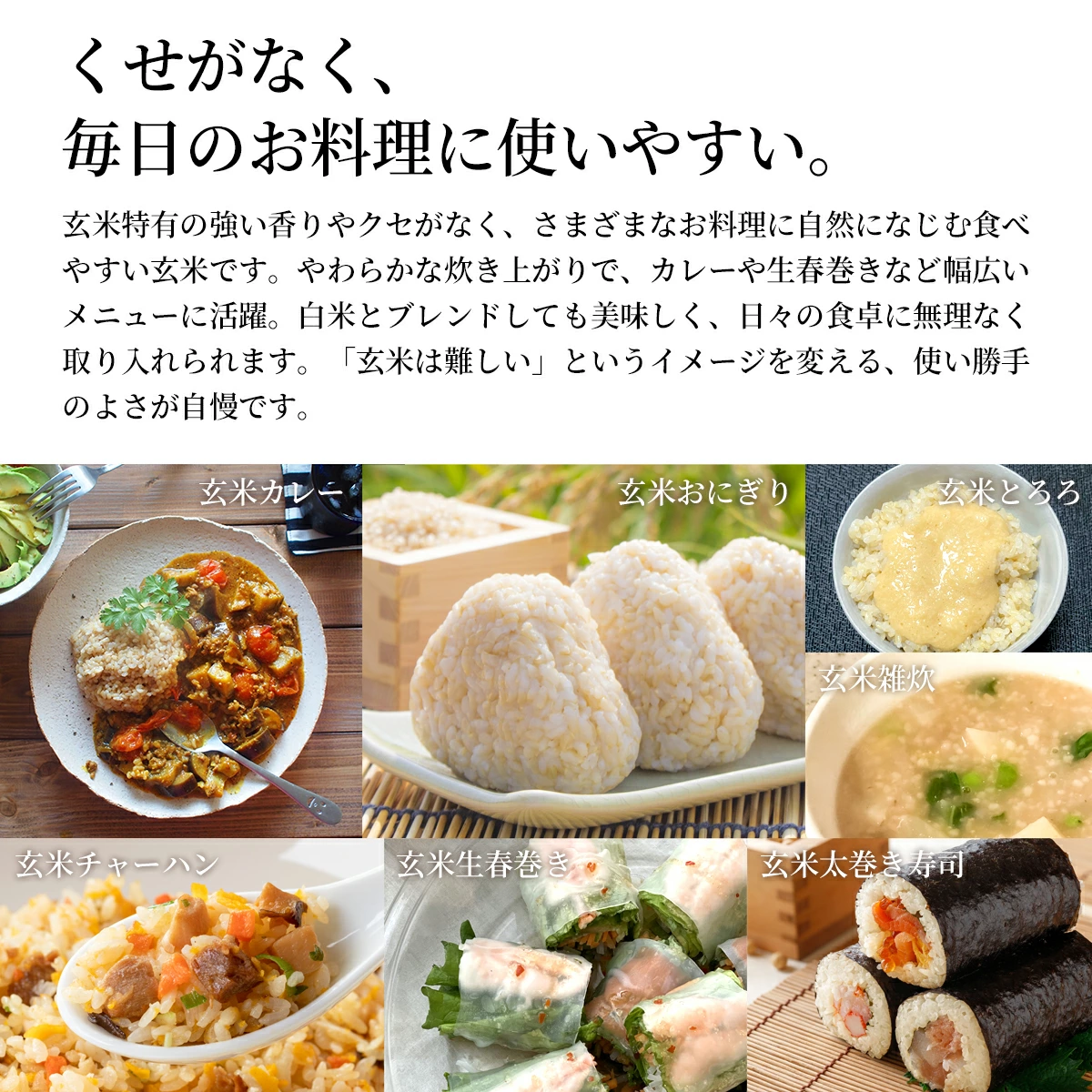 【農薬・化学肥料不使用栽培の玄氣】 1.5kg×3袋（4.5kg ） 白米モード炊ける無洗米の発芽玄米 無農薬（農薬・化学肥料不使用）栽培 送料無料