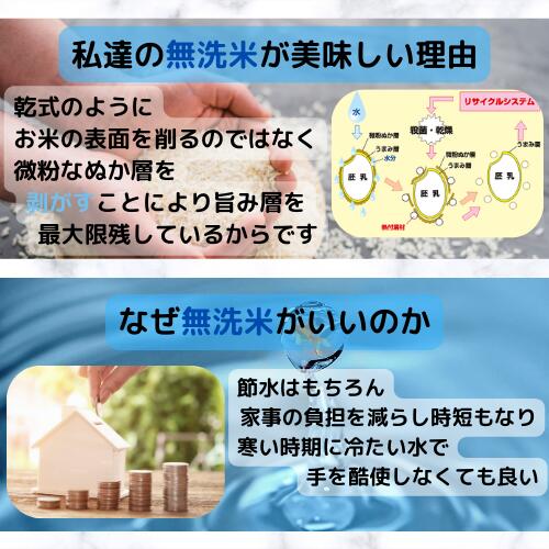 牛奶 5-2-4