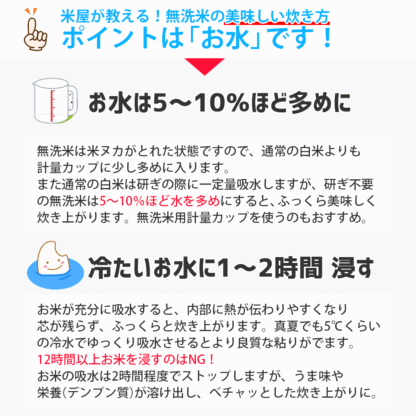 山形県産はえぬき10kg（無洗米・白米・玄米）精米方法選択可 送料無料