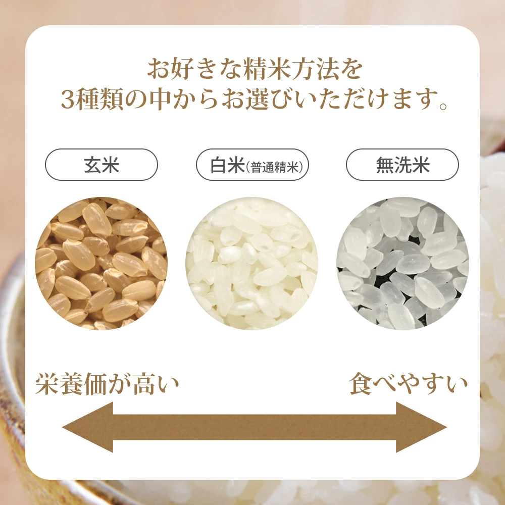 山形県産はえぬき10kg（無洗米・白米・玄米）精米方法選択可 送料無料