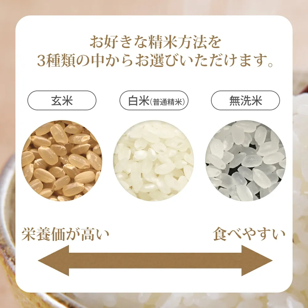 山形県産はえぬき10kg（無洗米・白米・玄米）精米方法選択可 送料無料