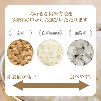 山形県産はえぬき10kg（無洗米・白米・玄米）精米方法選択可 送料無料