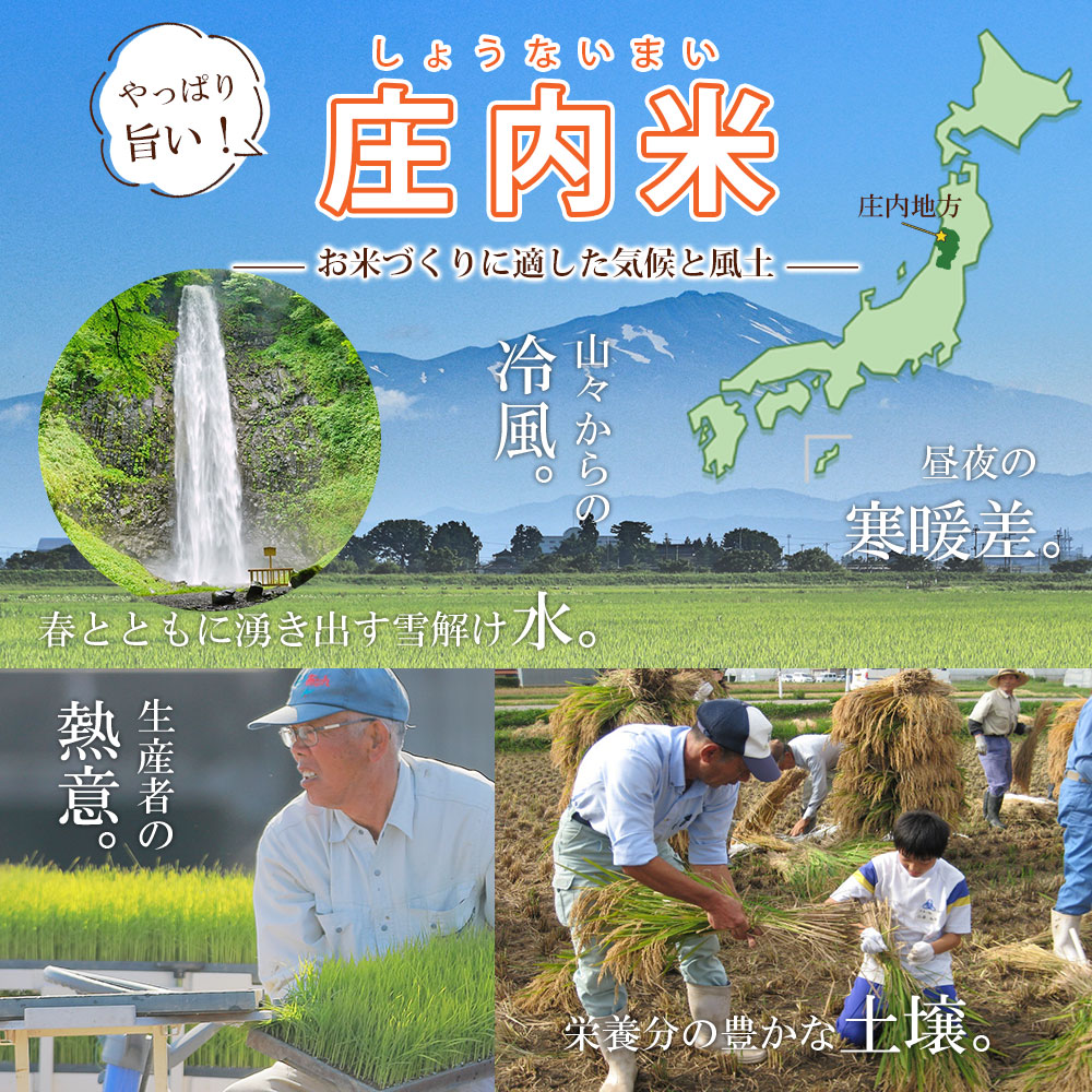山形県産はえぬき10kg（無洗米・白米・玄米）精米方法選択可 送料無料