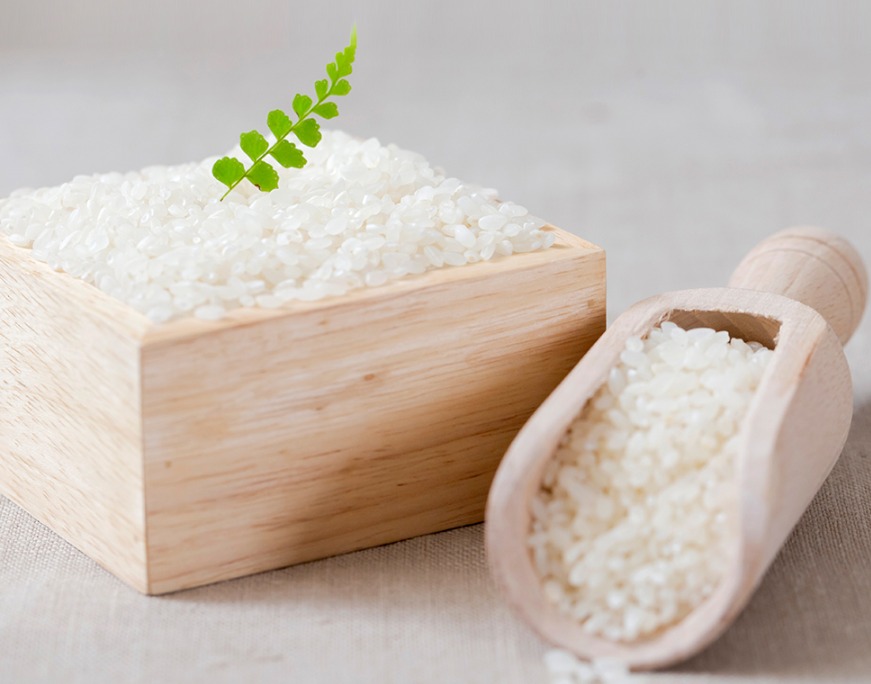 더조운 2025년산 햅쌀 백미