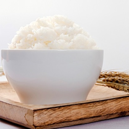 더조운 2025년산 햅쌀 백미