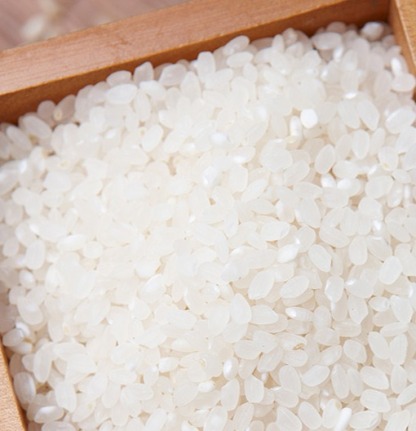 한음미가 2025년산 햅쌀 전라미 쌀