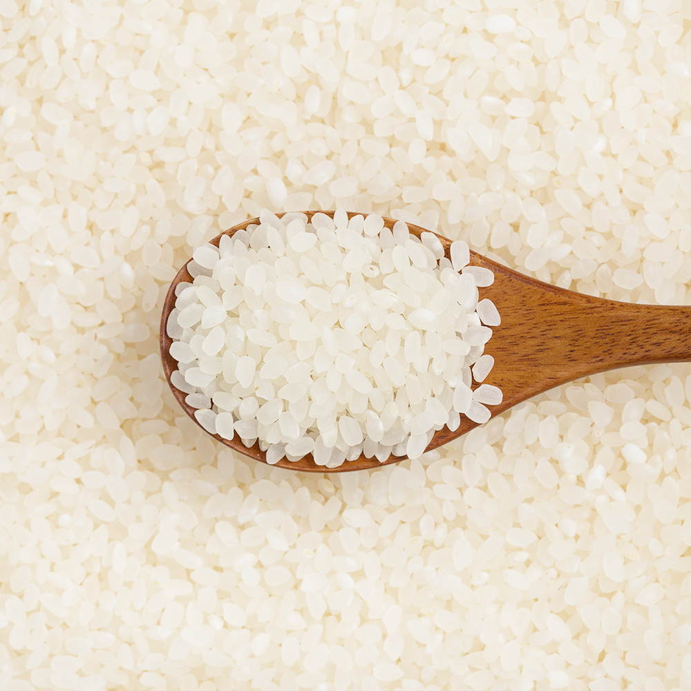 2025년산 햅쌀 곰곰 소중한 우리쌀, 20kg (상등급), 1개