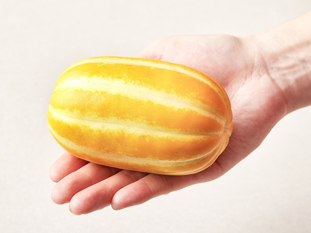 성주 당도선별 실속 미니참외, 2kg (8~12입）