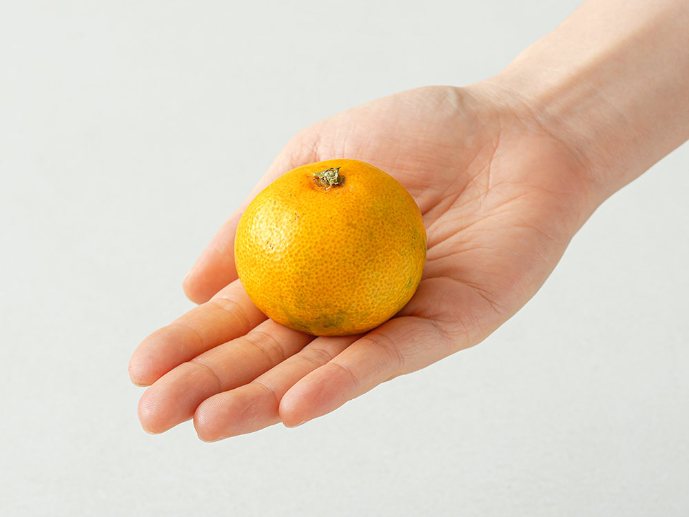 귤림원 GAP 인증 당도선별 감귤, 1.5kg(로얄과)