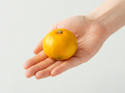 귤림원 GAP 인증 당도선별 감귤, 1.5kg(로얄과)