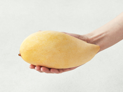 이웃마을 태국산 남독마이 망고, 3.8kg