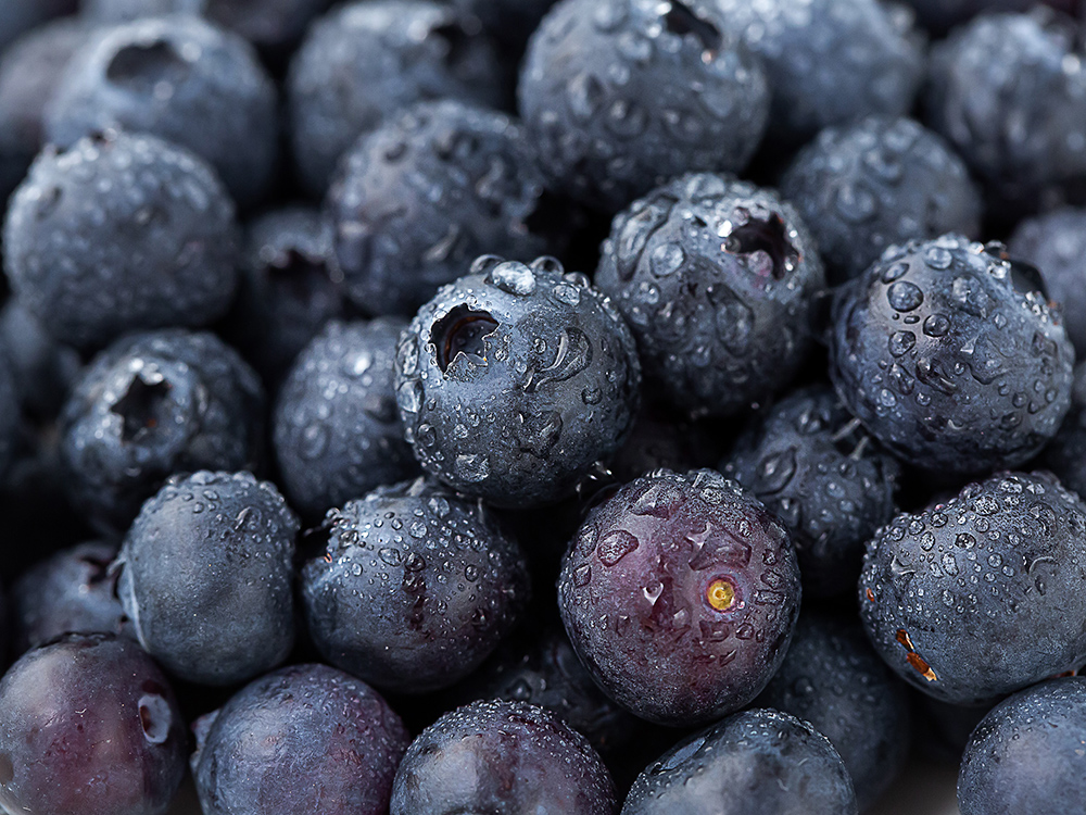 PSK 칠레산 블루베리, 310g