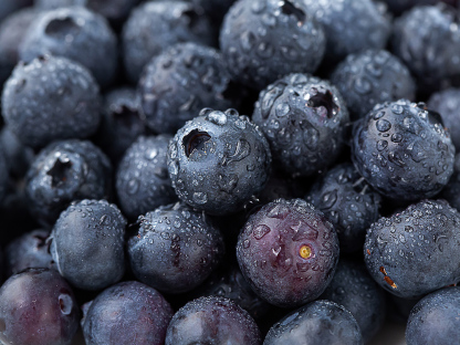 PSK 칠레산 블루베리, 310g