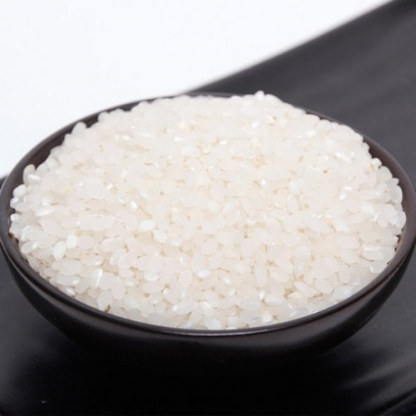 신김포농협 2025년 햅쌀 김포금쌀 고시히카리