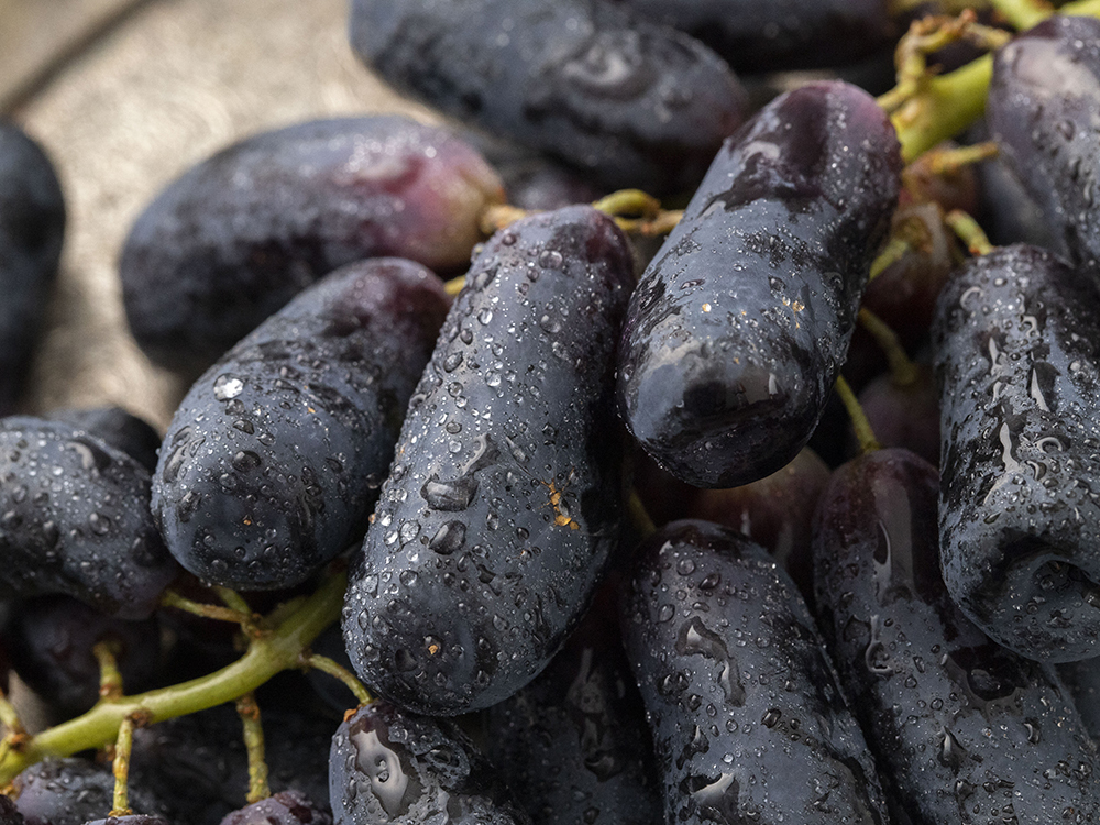   호주산 스윗 사파이어 포도, 1.8kg, 3개