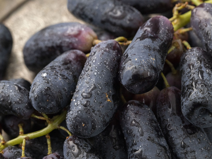   호주산 스윗 사파이어 포도, 1.8kg, 3개