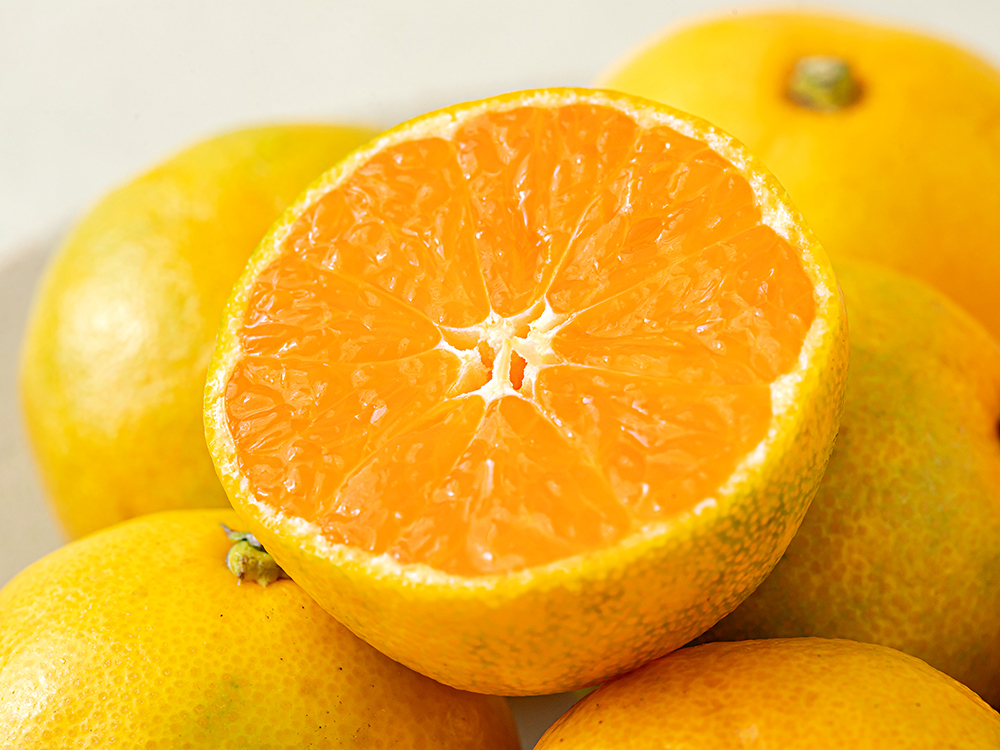 귤림원 GAP 인증 당도선별 감귤, 1.5kg(로얄과)