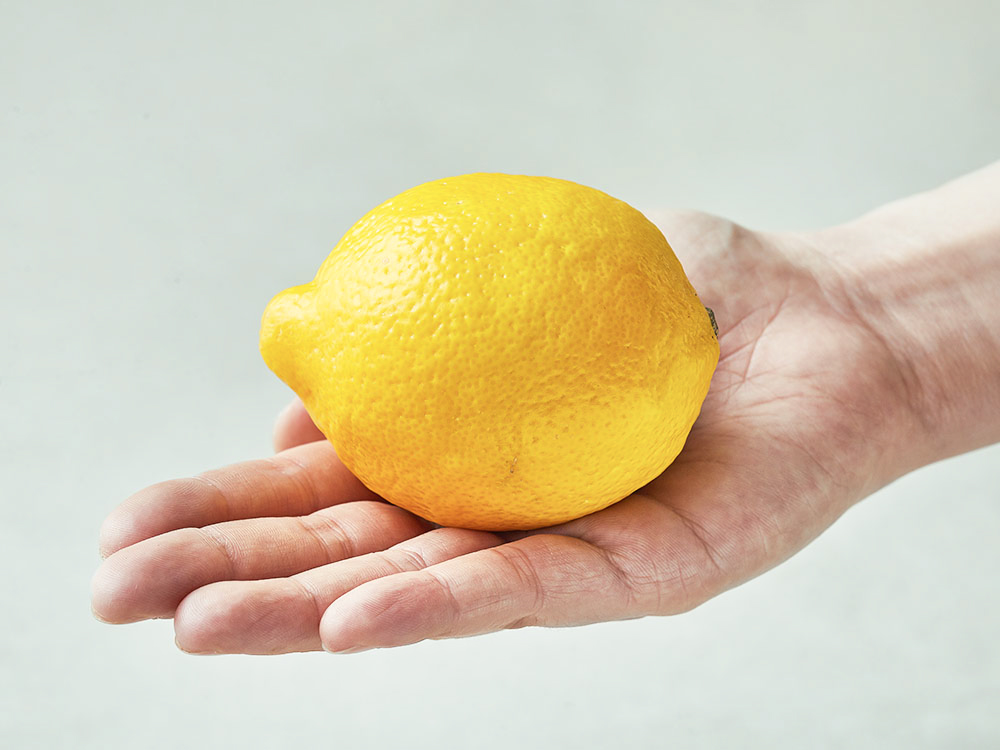 곰곰 미국산 레몬, 4kg, 2개