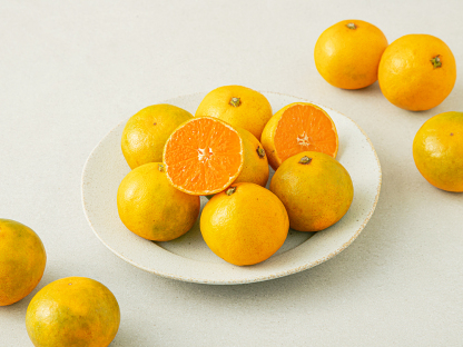 귤림원 GAP 인증 당도선별 감귤, 1.5kg(로얄과)