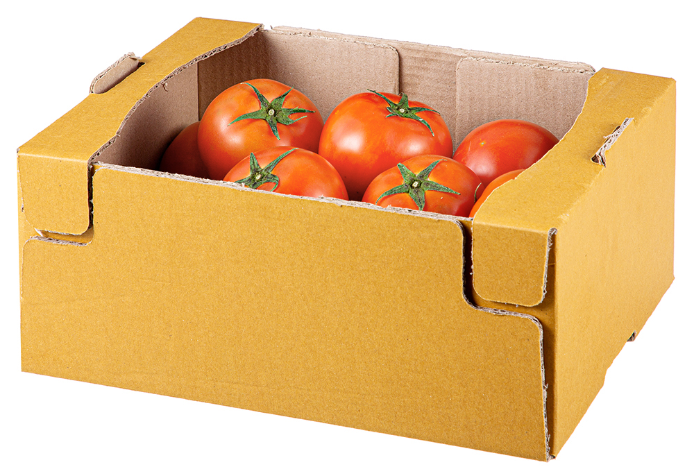 광식이농장 완숙 토마토, 5kg, 3박스