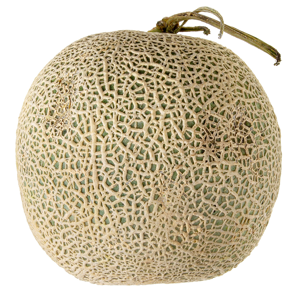 곰곰 머스크 멜론,6개