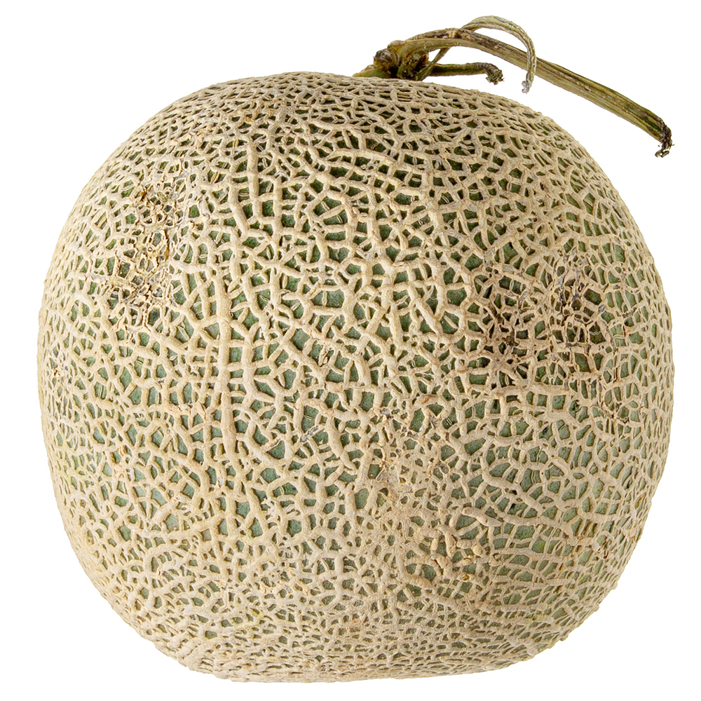 곰곰 머스크 멜론,6개