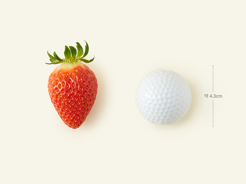 올프레시 GAP 한단 금실 딸기, 500g