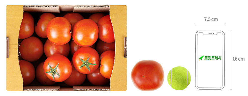 광식이농장 완숙 토마토, 5kg, 3박스