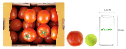 광식이농장 완숙 토마토, 5kg, 3박스