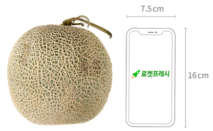 곰곰 머스크 멜론,6개