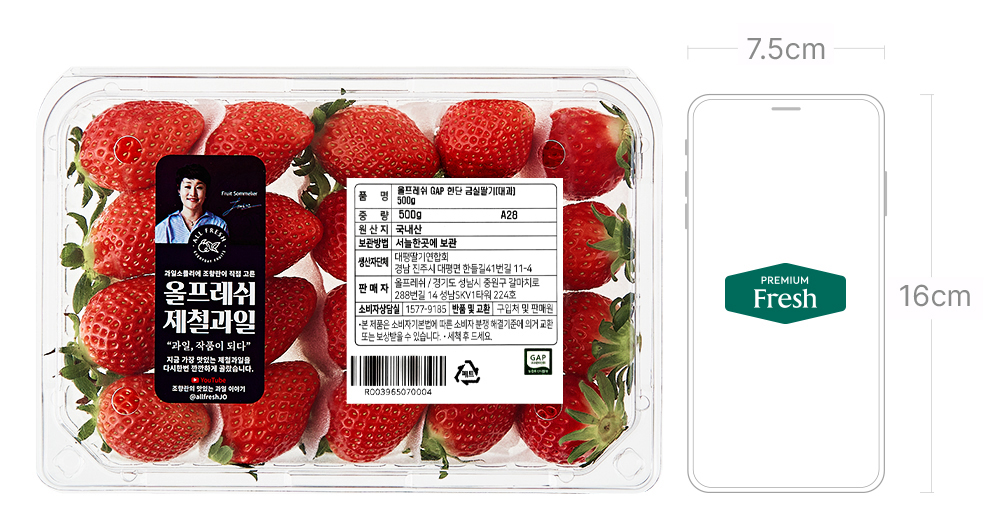 올프레시 GAP 한단 금실 딸기, 500g