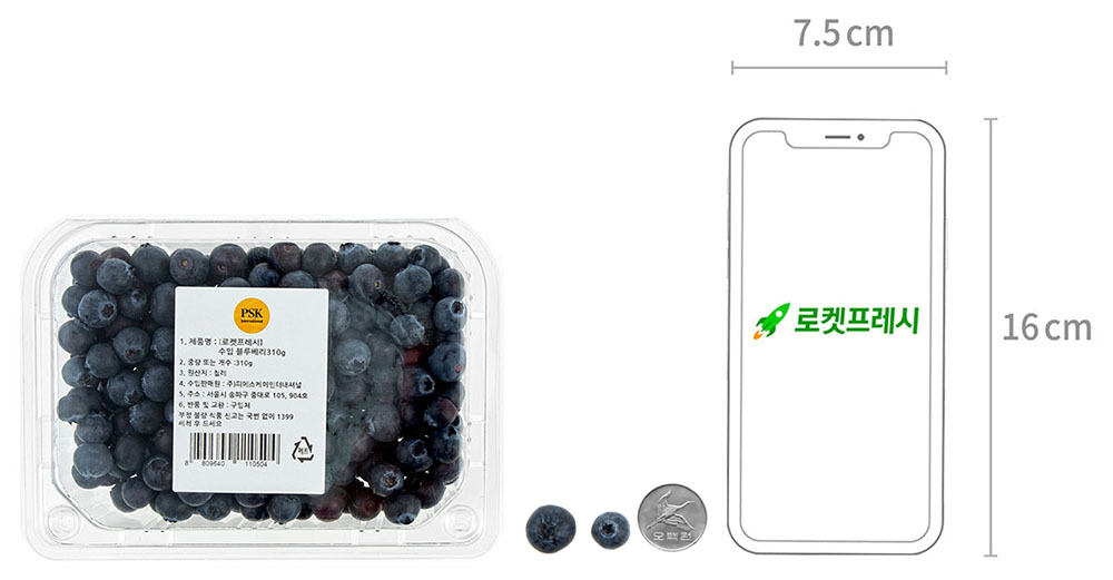 PSK 칠레산 블루베리, 310g